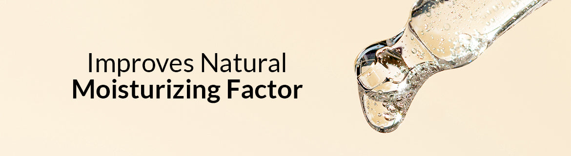 Lactic acid products