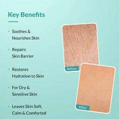 body lotion repairs skin barrier