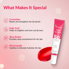 Ingredients of Tinted Lip Balm SPF 50