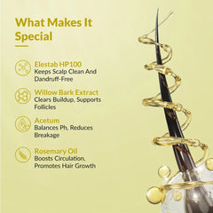 Ingredients of Scalp Treatment Shampoo for Flakes and Itching