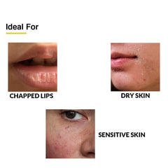 Shadow Lip Shield SPF 50 + Shadow SPF 50 Cream