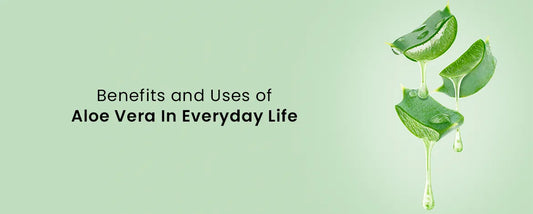 Benefits and Uses of Aloe Vera