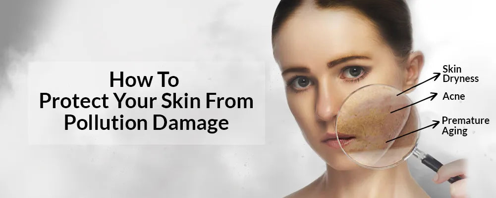 protect your skin from pollution damage