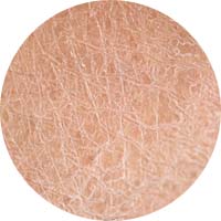 Fixderma Skincare